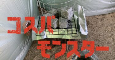 tarptent-eyecatch