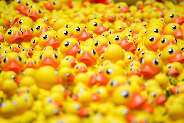 many-duck