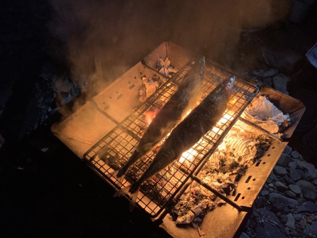 焚き火台で焼く秋刀魚