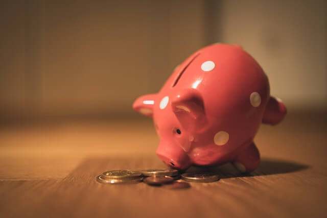 bank-pig