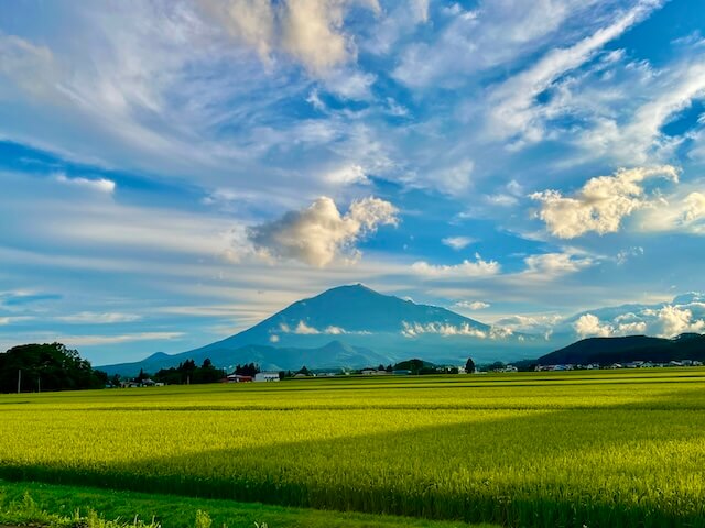 moutain-rice-field