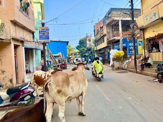 india1